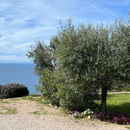 Stella D'Argento Bed and Breakfast Porto Santo Stefano  Buitenkant foto